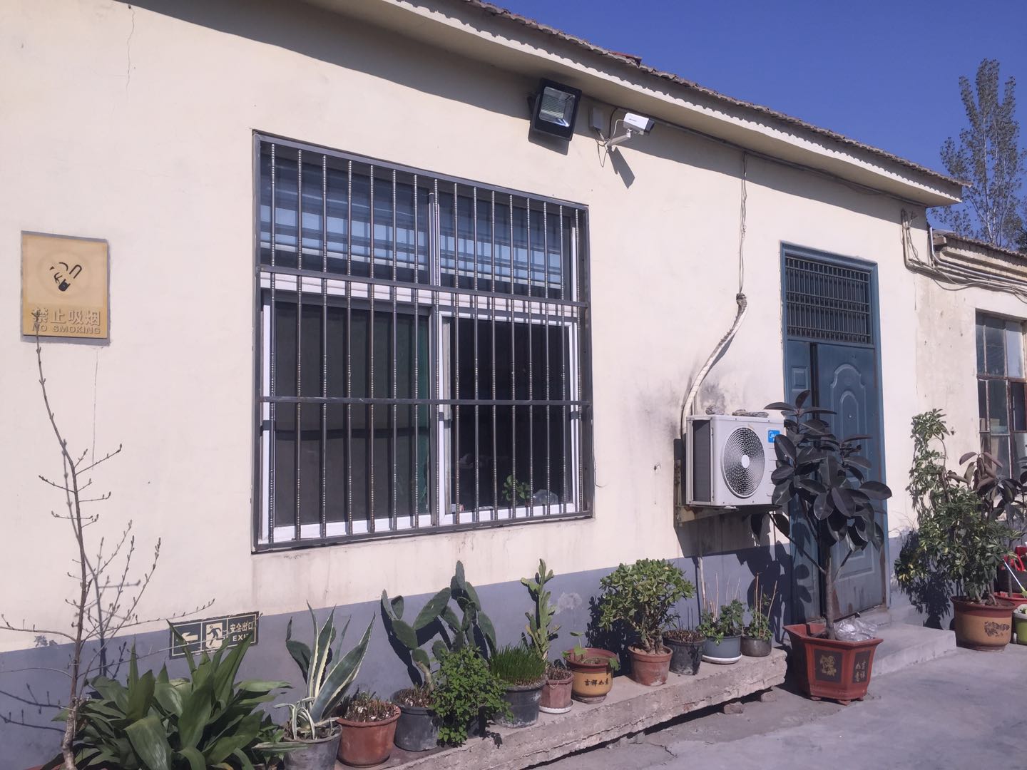 �k����չʾ